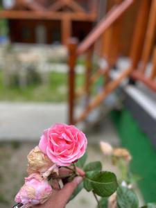 Zahrada ubytování Ay Home Apart&bungalov