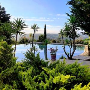 un giardino con piscina, palme e piante di CASA PAVÃO (SALGADINHO - SELÃO DA EIRA) a São Teotónio