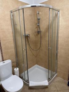 łazienka z prysznicem i toaletą w obiekcie Apartmán Bešeňová 289 w Beszeniowej