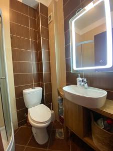 a bathroom with a toilet and a sink and a mirror at Sofy Center Apartment (Free Parking) in Novi Sad