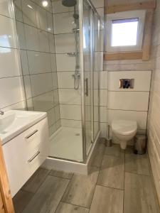 uma casa de banho com um chuveiro e um WC. em Pokoje I Domki WIKTORIA em Będzino