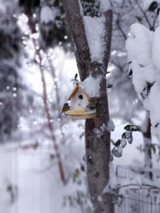 une maison d'oiseaux sur un arbre dans la neige dans l'établissement Eco del Cielo Apart (Cabaña con patio en 2 plantas para 4), à Villa Pehuenia