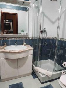 La salle de bains est pourvue d'un lavabo et d'une douche. dans l'établissement Apartamento Alcochete, à Alcochete