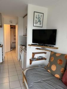 uma sala de estar com um sofá e uma televisão de ecrã plano em Appartement Village Vacances Cap Esterel em Saint-Raphaël