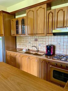 a kitchen with wooden cabinets and a sink and a stove at Cortina House Berat in Kuçovë