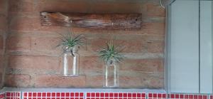 two glass vases with plants in them on a brick wall at Chalé Caminho da Montanha in Gonçalves