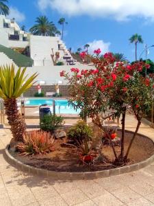 un jardín con flores rojas y una piscina en Most sunny days on Gran Canaria, en Puerto Rico de Gran Canaria