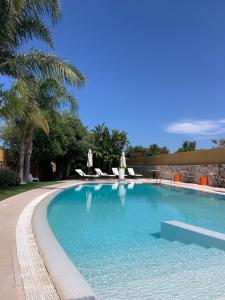 a swimming pool with chairs and a palm tree at Carone Suite-Charme&Pool in Polignano a Mare