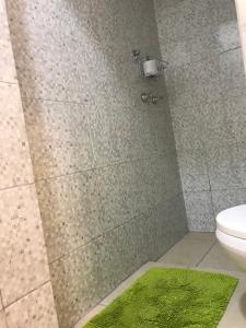a bathroom with a shower with a toilet and a green rug at Costanera in San Nicolás de los Arroyos