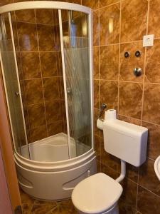 Koupelna v ubytování Apartments by the sea Baska Voda, Makarska - 16378