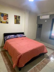 ein Schlafzimmer mit einem Bett mit einer roten Decke in der Unterkunft Apartamento 2 habitaciones in Barranquilla