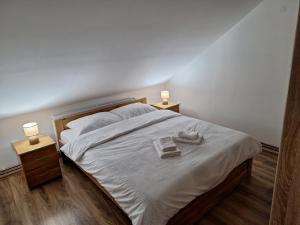 Katil atau katil-katil dalam bilik di Apartmani Milosavljević