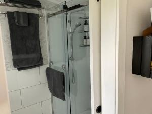 a shower with a glass door in a bathroom at Orange Tree Cottage - garden hideaway in Whanganui