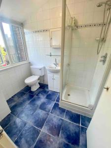 a bathroom with a toilet and a shower and a sink at Penthouse studio with 2 double beds & smart TV. Great London Location in London