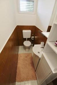 a small bathroom with a toilet and a sink at Apartments with a parking space Umag - 21460 in Umag