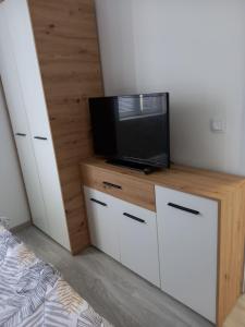1 dormitorio con TV, armarios blancos y 1 cama en Silver Lake Apartments, en Veliko Gradiste