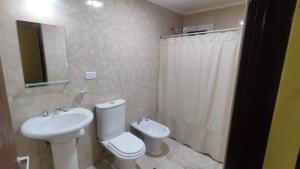 een badkamer met een wit toilet en een wastafel bij Cabañas Berenice in Malargüe +12 foto's