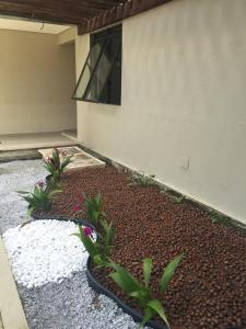 a garden in front of a building with plants at Manawa Beach Flat A24 - Centro Porto de Galinhas in Porto De Galinhas