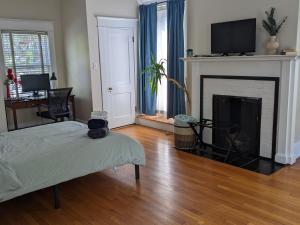 uma sala de estar com lareira e televisão em Sunny Efficiency In Historic Home em Durham