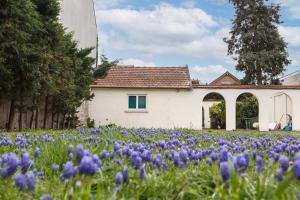 un campo di fiori viola di fronte a una casa di Maison de ville Léon Gambetta a Drancy