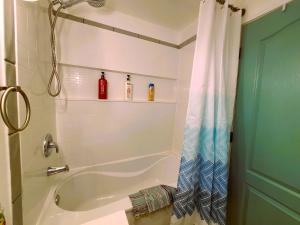 a bathroom with a bath tub and a shower at Woodcrest Bed and Breakfast in Clearwater
