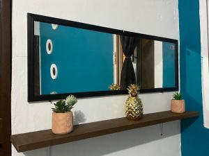 einen Fernseher auf einem Regal mit drei Pflanzen darauf in der Unterkunft PANCHITO’S in Isla Mujeres