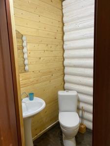 uma casa de banho com um WC e um lavatório em Altyn Arashan guesthouse em Mineralʼnyy Istochnik Altyn-Arasan