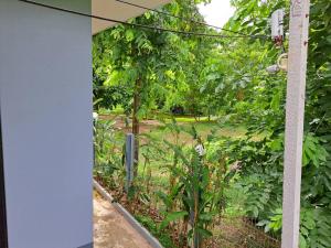 einen Garten mit Blick durch ein Fenster eines Hauses in der Unterkunft โคซี่ โฮมสเตย์ in Suan Phung