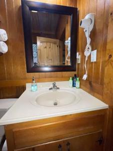 a bathroom sink with a mirror and a phone at Cozy Cabin: River View with Hot Tub in Dahlonega +16 photos