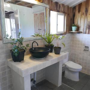 a bathroom with a sink with potted plants on it at Pondok isoke in Banyuwangi