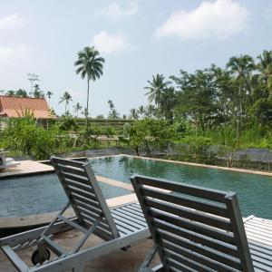 un par de sillas sentadas junto a una piscina en Pondok isoke en Banyuwangi