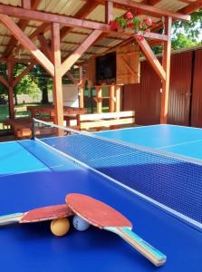 un tavolo da ping pong blu con due racchette sopra di Hűvös Nyaralóház Orosháza a Orosháza