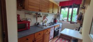 Kuchyň nebo kuchyňský kout v ubytování Cottage in traditional village Bradulet, Arges county