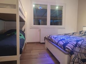 1 dormitorio con litera junto a una ventana en Maison avec piscine, jacuzzi et sauna en Saint-Nabord