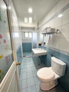 a bathroom with a toilet and a sink at 紫龍星空民宿 in Leye