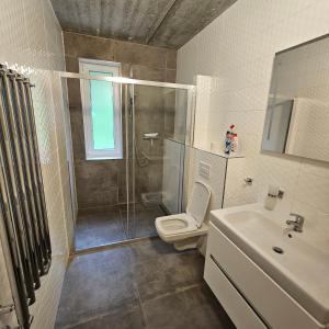 een badkamer met een douche, een toilet en een wastafel bij Apartmány Pstruží AP19 in Pstruží