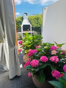 Vonkajšia záhrada v ubytovaní Luxusapartment NAV