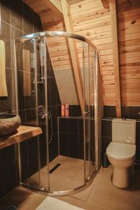 a bathroom with a shower and a toilet in a room at Mosa Bungalov in Ardeşen