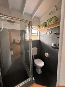 a bathroom with a toilet and a glass shower at Sunflower House, a cozy cabin at Lake Wentworth in Wentworth Falls