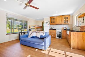 a living room with a blue chair and a kitchen at Braeside Cabin One Pinkwood in Central Tilba