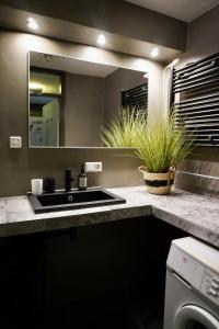 a bathroom with a sink and a mirror at Jungle Stay in a Hidden Paradise in Zwijndrecht