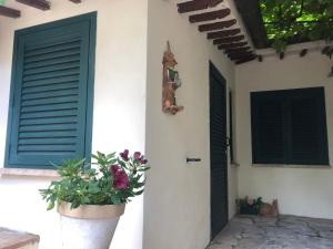 una casa con due porte e una pianta in un vaso di B&B Uva Fragola a Perugia
