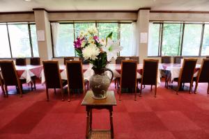 Posezení v ubytování Hakuba Park Hotel