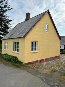 内克瑟Det Gule Palæ的灰色屋顶的黄色房子