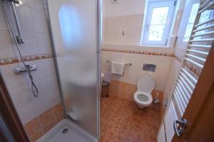 a small bathroom with a toilet and a shower at Chata Zahálka Ramzová in Ostružná