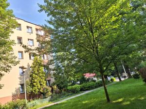 a tree in the grass next to a building at Apartament Broniewskiego 50m Centrum Nowy Sącz in Nowy Sącz