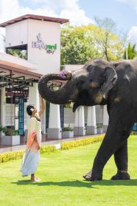Uma mulher está ao lado de um elefante. em Elephyard Retreat em Mahiyanganaya