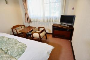 TV a/nebo společenská místnost v ubytování Hakuba Park Hotel