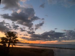a sunset on a beach with a palm tree at Il nido dell’albatros in Formia