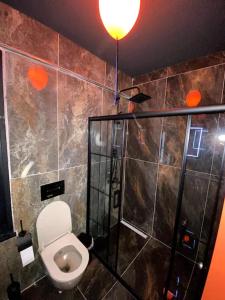 ein Bad mit einem WC und einer Dusche in der Unterkunft Black Mansion in Istanbul
